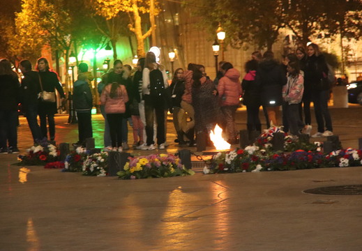 IMG 3140
