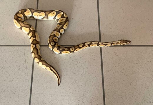 e.3e23e3da-15b4-464b-adb8-aeafa87a76ba