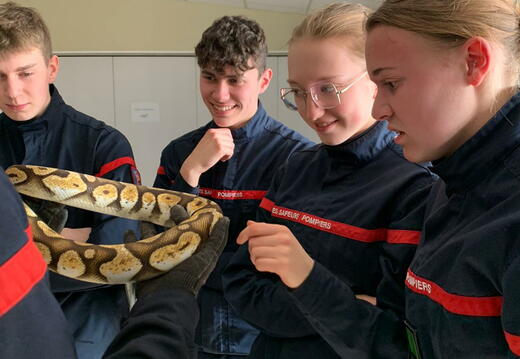 e.09c6f752-8d7c-43b5-94c3-4c90ed35fd3d