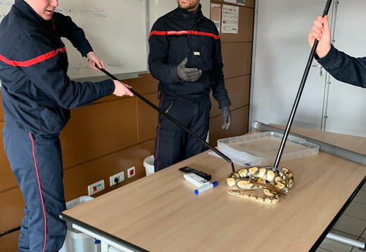 e.40e9fda3-bfff-45f5-ae2f-b9a1ffffa380