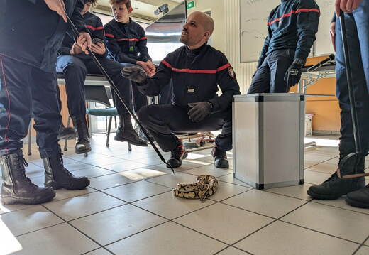 e.334565254 1610917152669230 3522972026235840957 n