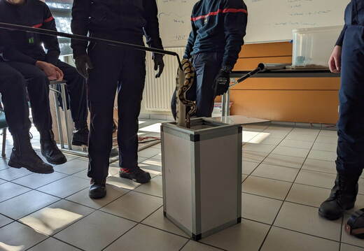 e.334869914 5659837130791300 4427021298031790165 n