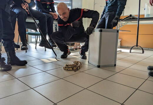 e.334875275 701975438374299 7520084847640975991 n