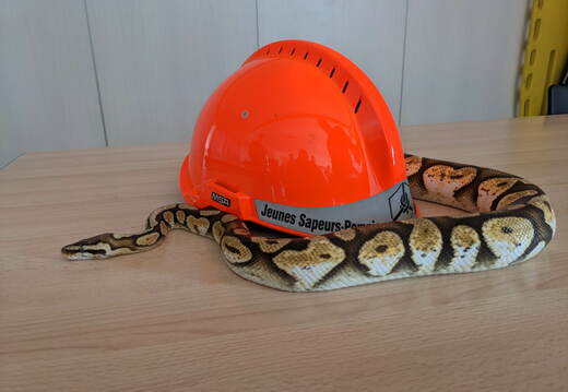 e.334877377 218731624017206 7249917598977733463 n