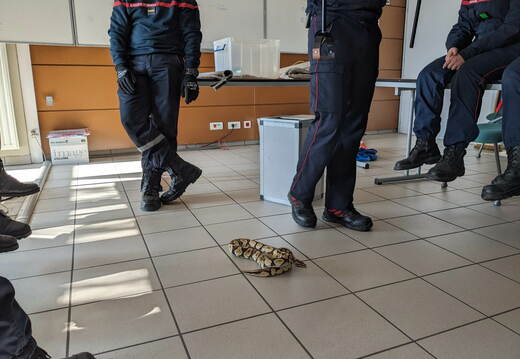 e.334890345 769504054591699 6998644458367539873 n