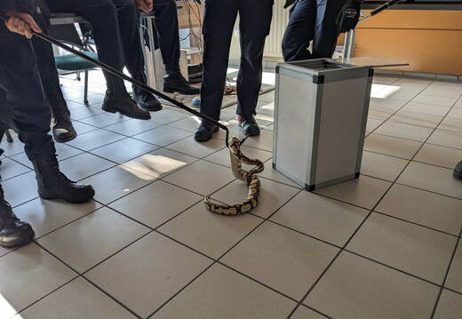 e.334902463 542502047745905 6221353649844681695 n