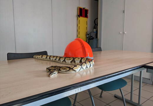 e.334909446 189753273687294 1185747853572853914 n