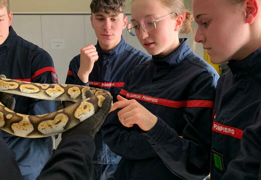 e.d3620cb1-e0e1-4d22-90b8-0c76b30bf267