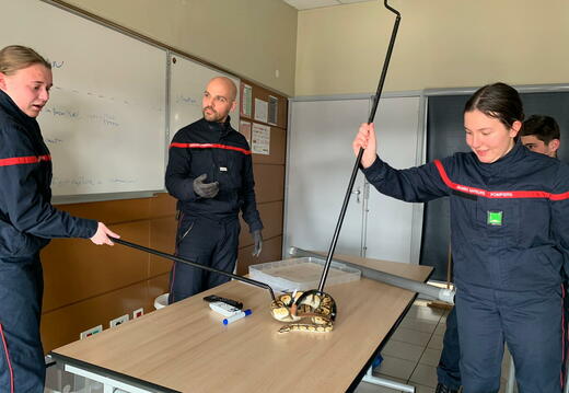 fae6c3e5-1c2e-4c94-9776-9597c1dd0d8b