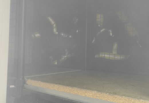 WhatsApp Image 2023-03-25 at 13.52.29