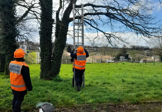 Journée Animalière et admin